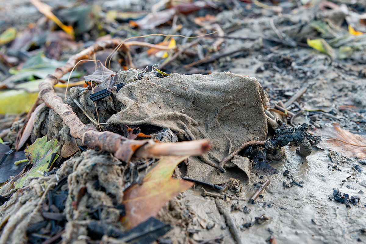 Wet wipe on the foreshore
