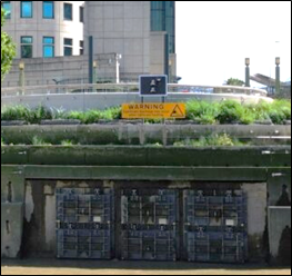 Figure 4 Albert Embankment warning light above CSO