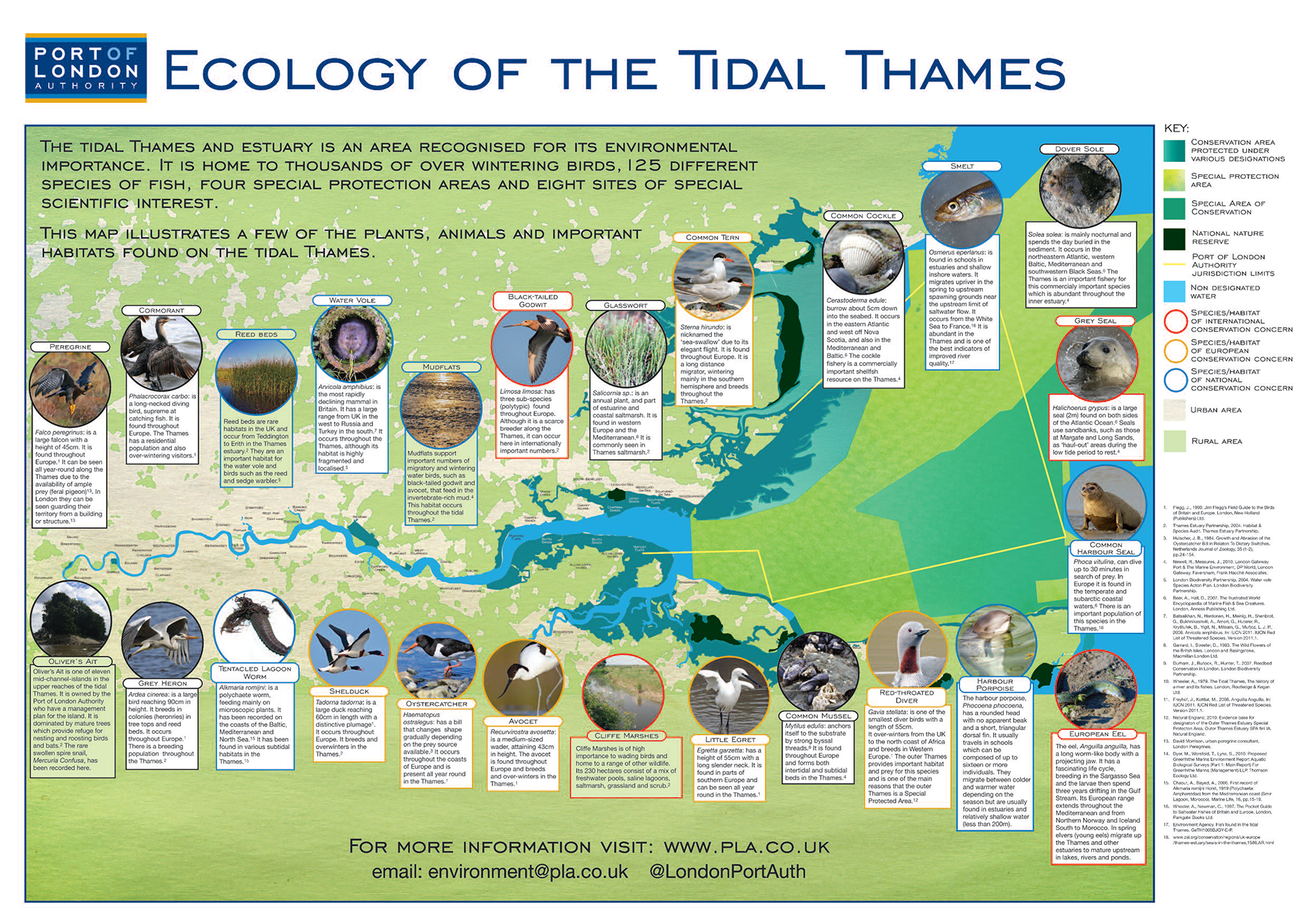 Ecology of the tidal Thames poster