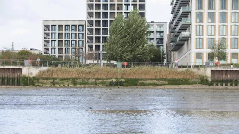 Newham buildings river