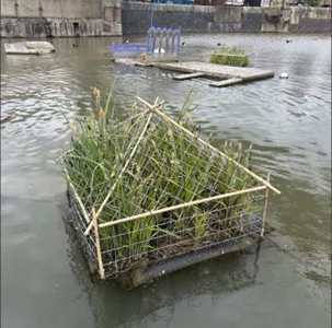 One-meter square floating planter 