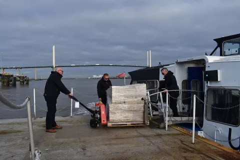 WrappedpalletsatDFT